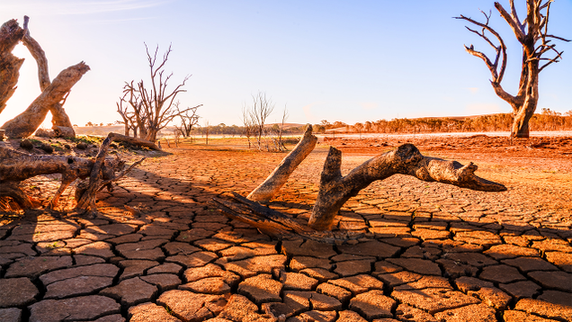 Illustration for article titled Chocolate Lovers, Despair! These Arid Wastelands Have Nary A Hint Of Cocoa As Far As The Eye Can See
